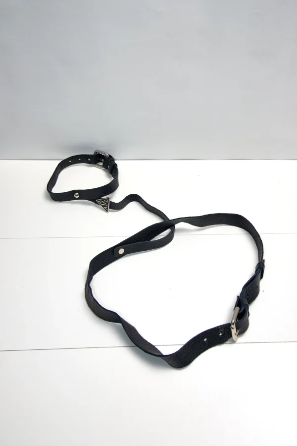 Leather Harness - Image 2